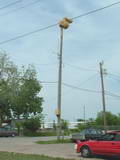 ACA Allertor